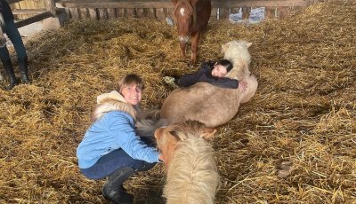 Sortie à la ferme - Section scolaire Équitation