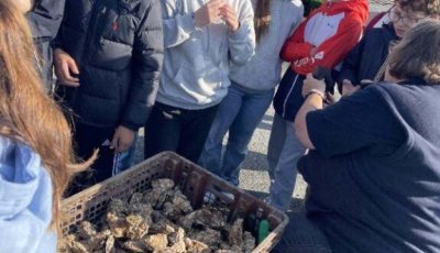 Séjour pédagogique sur les plages du débarquement