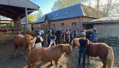 Sortie à la ferme - Section scolaire Équitation