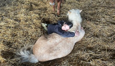 Sortie à la ferme - Section scolaire Équitation