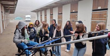 Hippodrome de Mauquenchy