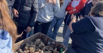 Séjour pédagogique sur les plages du débarquement
