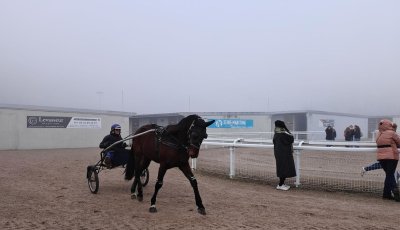 Hippodrome de Mauquenchy