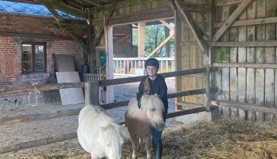 Sortie à la ferme - Section scolaire Équitation