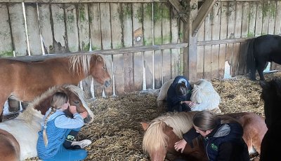 Sortie à la ferme - Section scolaire Équitation