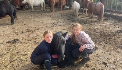 Sortie à la ferme - Section scolaire Équitation