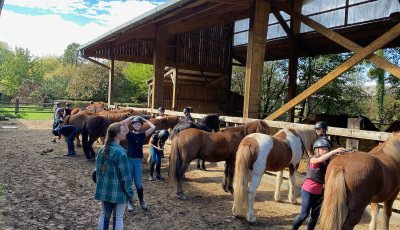 Sortie à la ferme - Section scolaire Équitation