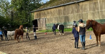 Sortie à la ferme - Section scolaire Équitation