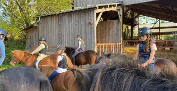 Sortie à la ferme - Section scolaire Équitation