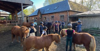 Sortie à la ferme - Section scolaire Équitation