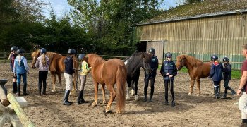 Sortie à la ferme - Section scolaire Équitation