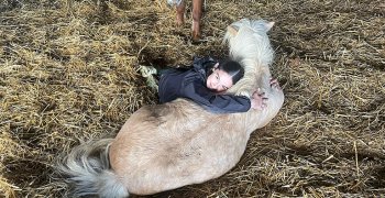 Sortie à la ferme - Section scolaire Équitation