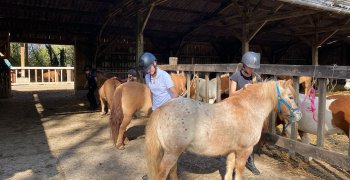 Sortie à la ferme - Section scolaire Équitation