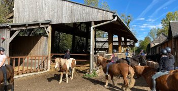Sortie à la ferme - Section scolaire Équitation