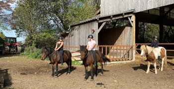Sortie à la ferme - Section scolaire Équitation