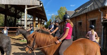 Sortie à la ferme - Section scolaire Équitation